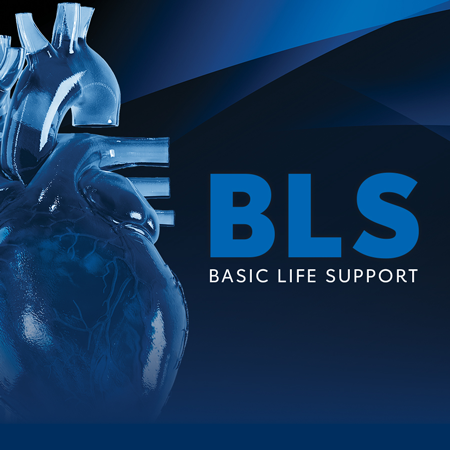 bls-new